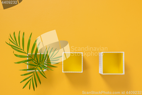 Image of Palm tree leaves in boxes on bright yellow background