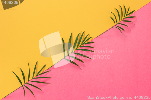 Image of Palm leaves on colorful yellow and pink background