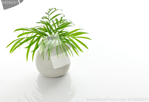 Image of Green palm leaves in a white ceramic vase