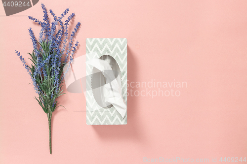 Image of Tissue box and blue lavender on pink background