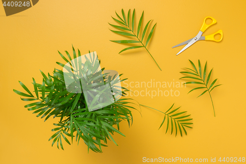Image of Little palm tree on bright yellow background