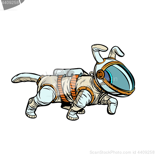 Image of pet dog astronaut