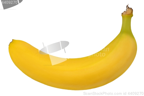 Image of Banana on white