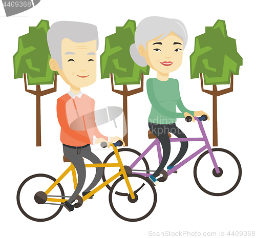 Image of Senior couple riding on bicycles in the park
