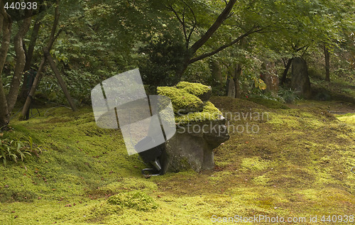 Image of Moss garden