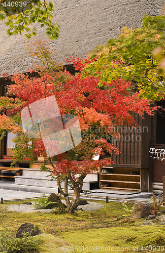 Image of Japanese garden