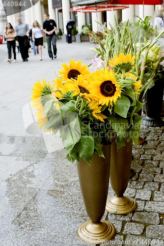 Image of sunflowers on the street