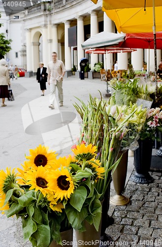 Image of flowers on the street