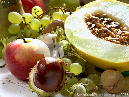 Image of autumnal still life