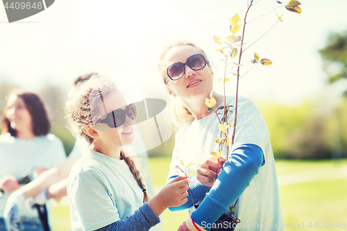 Image of volunteers family with tree seedling in park