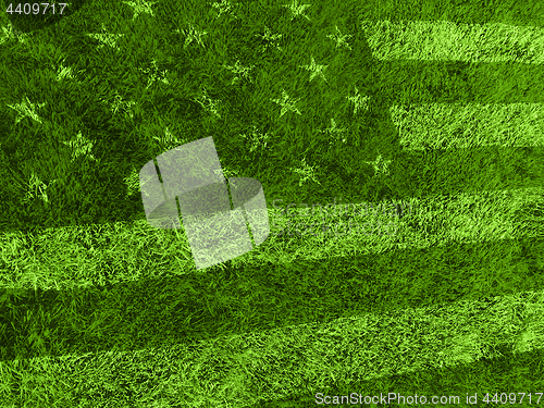 Image of American flag grass