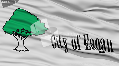 Image of Closeup of Eagan City Flag