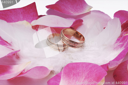 Image of Wed rings