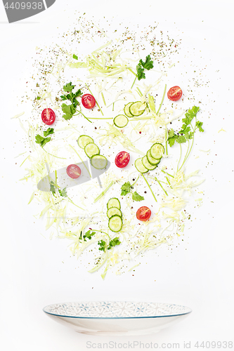 Image of The salad bowl in flight with vegetables: tomato, cucumber, cabbage on white background