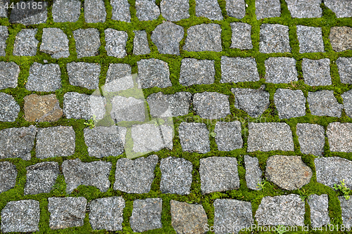 Image of Road paved with stones and sprouted green moss 
