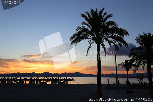 Image of Beautiful sunset on the beach