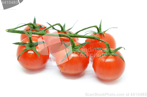 Image of Red cherry tomato