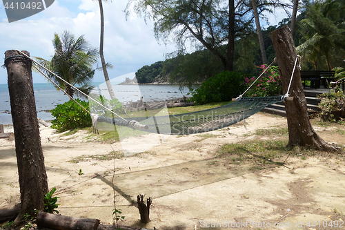 Image of Cozy hammock in attached to tree