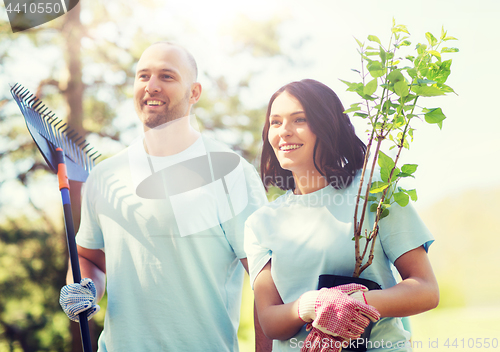 Image of volunteer couple with trees and rake in park