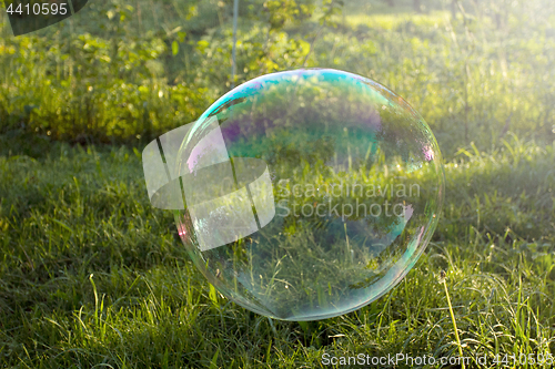 Image of Big soap bubble flying in the air