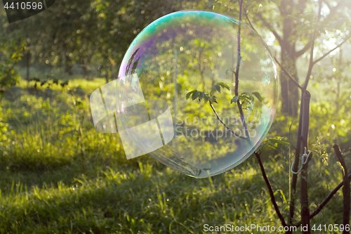 Image of Big soap bubble flying in the air