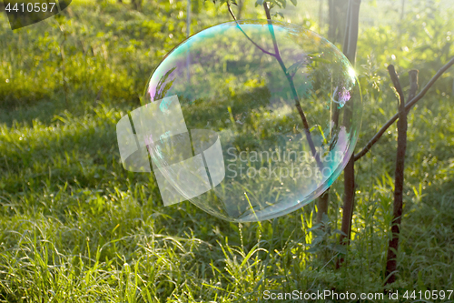 Image of Big soap bubble flying in the air