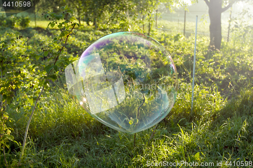 Image of Big soap bubble flying in the air