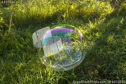 Image of Big soap bubble flying in the air