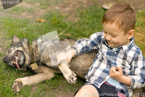 Image of Boy hugging his dog