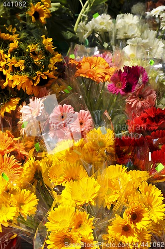 Image of Flowers for sale