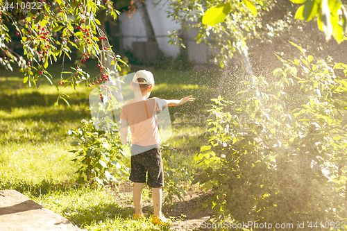 Image of Boy playing with a sprinkler in the garden