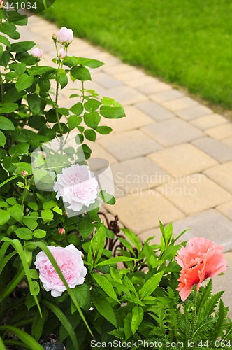 Image of Path in blooming garden