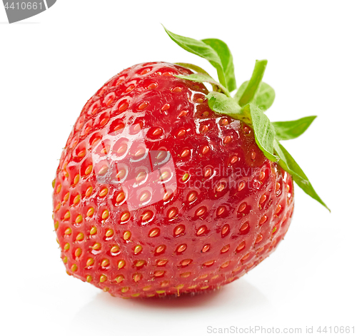 Image of fresh red strawberry