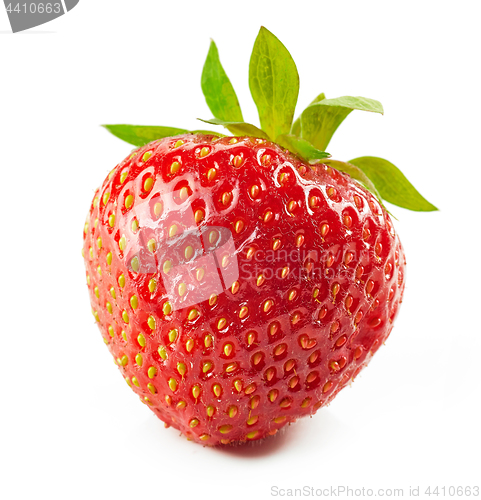 Image of fresh red strawberry