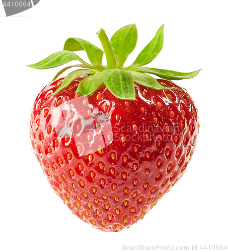 Image of fresh red strawberry