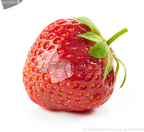 Image of fresh red strawberry