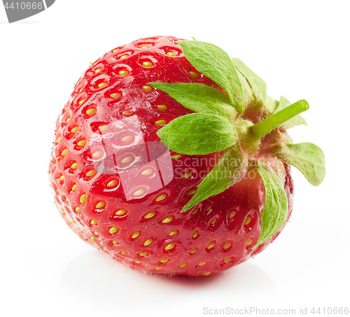 Image of fresh red strawberry