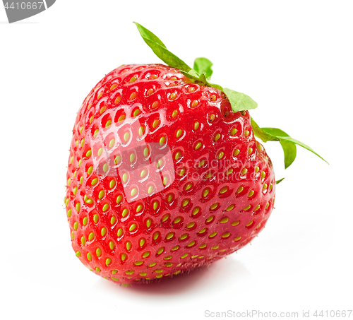 Image of fresh red strawberry