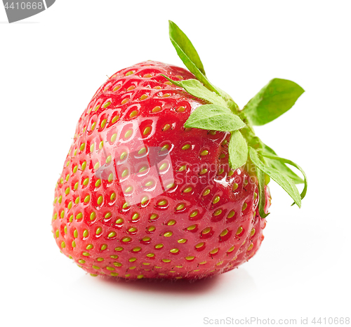 Image of fresh red strawberry