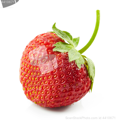 Image of fresh red strawberry