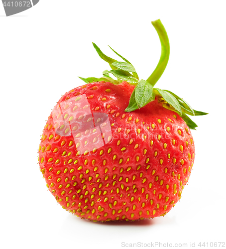 Image of fresh red strawberry