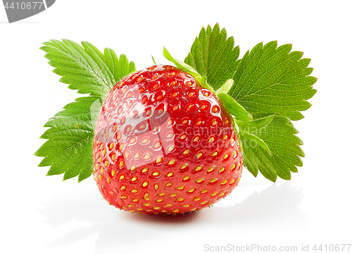 Image of fresh red strawberry