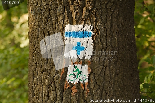 Image of Hiking trail signs