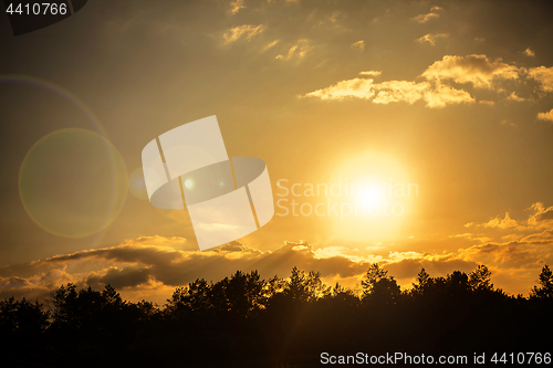 Image of sun over forest at summer 