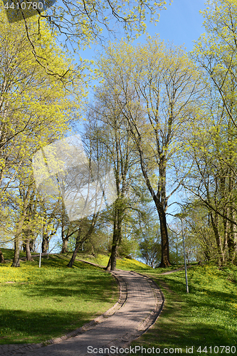 Image of Paved path leads uphill through trees