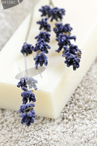 Image of Lavender soap