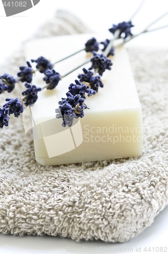 Image of Lavender soap