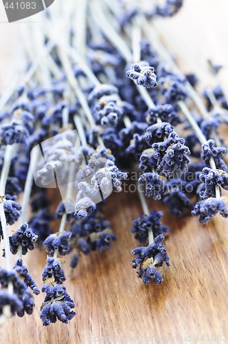 Image of Dried lavender