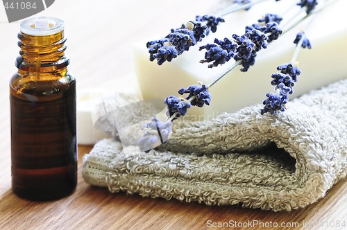 Image of Lavender soap