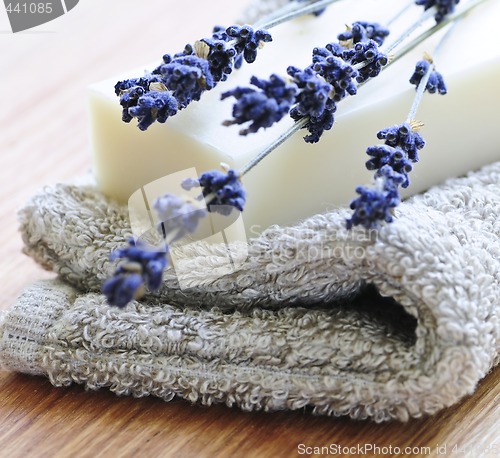 Image of Lavender soap